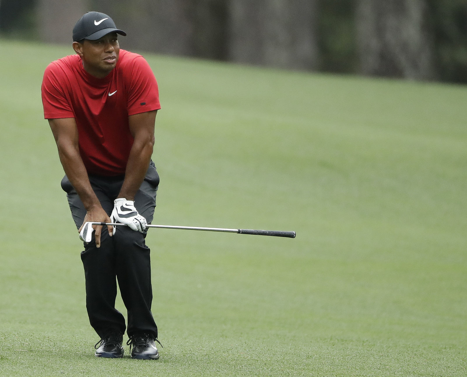Masters Golf